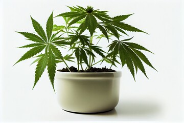 Cannabis in a pot. Generative AI, Generative, AI