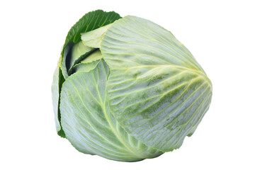 Cabbage isolated on white background