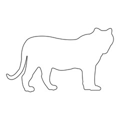 tiger icon illustration vector