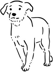 dog line drawing