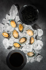 abalone
shellfish
clam
seafood
aquatic products
Abalone dish
fresh
Seaweed
