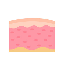 human skin layer Caring for protecting the skin from the sun with a skin serum.