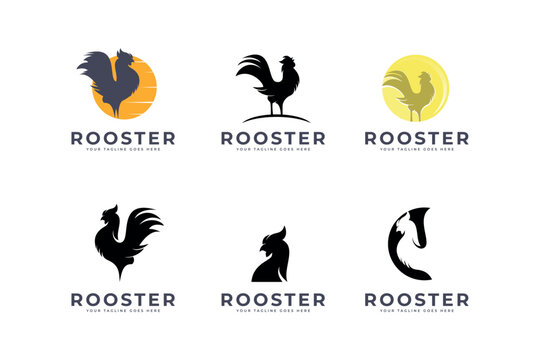 Rooster Icon Logo Vector Template