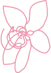 cassia bakeriana pink flower