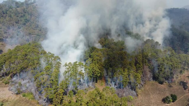 Aerial perspective of the wildfire. Smoke and fires Flaming forest. Warming natural calamities Flaming grass and trees.