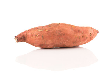 Sweet potato on the white background