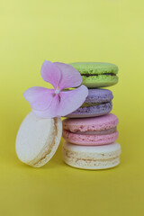 Tasty french macaroons with flowers on a yellow pastel background. Place for text.