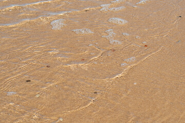 Transparent wave with white foam over sand with rare pebbles. Crystal clear sandy beach. Background with eco friendly place for rest.