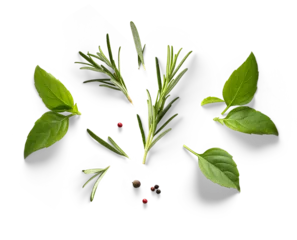 Fotobehang Fresh basil, rosemary leaves and peper isolated on white background. With clipping path. Transparent background and natural transparent shadow  Ingredient, spice for cooking. PNG © Konstiantyn