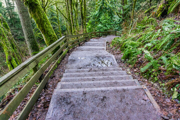 Meadowdale Park Trail 4