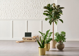 Modern home furniture design, gold vase of plant, retro old baggage and laptop style, white brick and classic wall background frame.