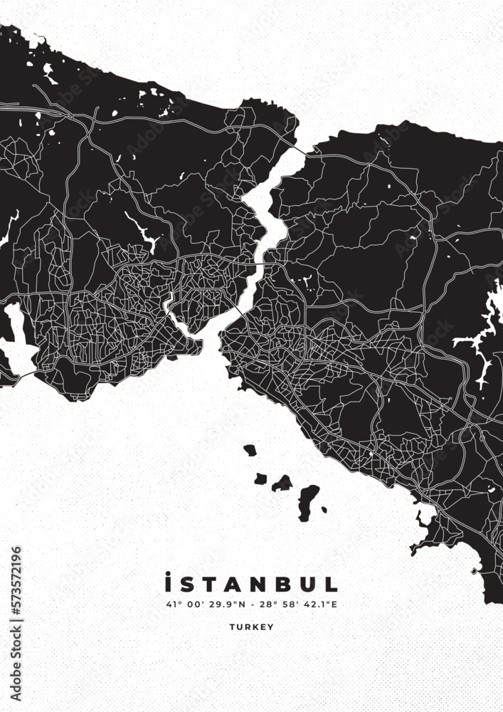 Wall mural istanbul city map vector poster