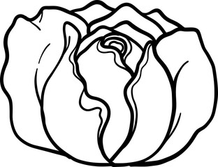 Breath of life rose png.Beautiful flower on transparent background.