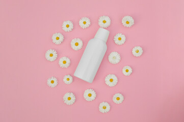 A white plastic jar of cosmetic product with white chamomile flowers on a pink background. Bio cosmetics mock up