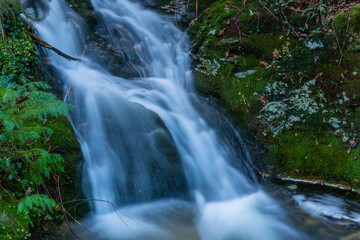 Fototapeta premium waterfall in mata da albergaria