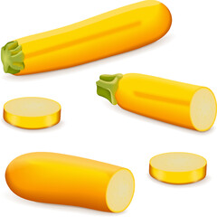 Whole, quarter, slices of Yellow zucchini or golden zucchini. Courgette or marrow. Summer squash. Cucurbita pepo or cucubits. Fruits and vegetables. Vector illustration isolated on white background.