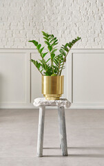Vase of plant and flower style on the chair, white wall background.