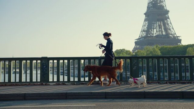 Young girl with dogs walking on a bridge with the Eiffel Tower in the background