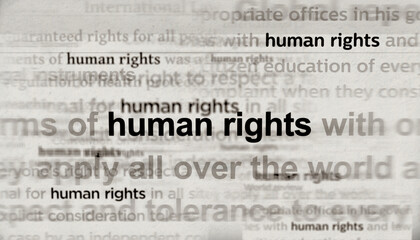 Human rights freedom and justice headline titles media 3d illustration
