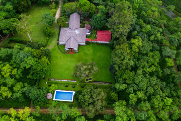Naklejka premium green tree in the garden