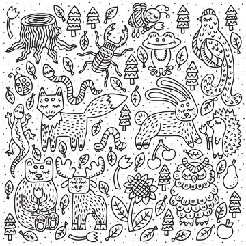 Wildlife forest animals. Fox, hare, bear. Cute outline doodles. Vector illustration.