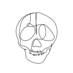 single line human organ design silhouette abstract human skull isolated hand drawn illustration