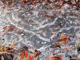 Southern Urals in autumn: country road, puddle covered with ice.