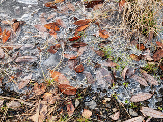 Southern Urals in autumn: country road, puddle covered with ice.