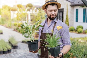 Stylish guy-gardener with green plant in hands on green house backyard