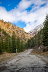 Fototapeta na wymiar Road in the mountains of southern Altai with view on snow tops and spring forest, Russia