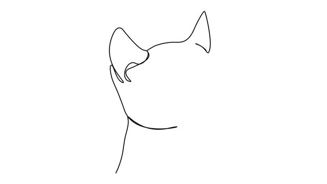 cat in continuous line drawing pattern simple black line sketch