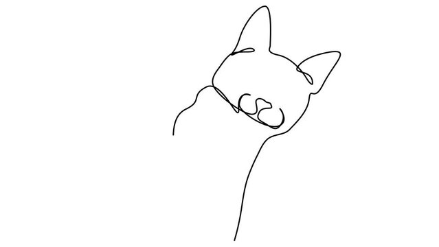 cat in continuous line drawing pattern simple black line sketch