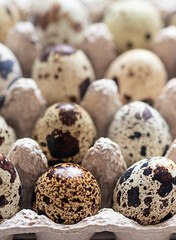 Obraz premium Organic farm quail eggs in paper container close up macro