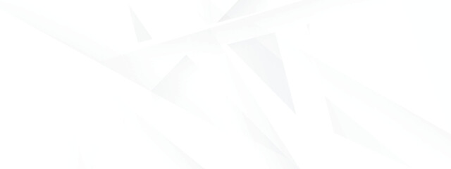 Obraz premium white abstract texture background design. space geometric style.
