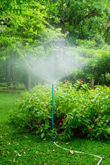 Automatic watering system in the garden