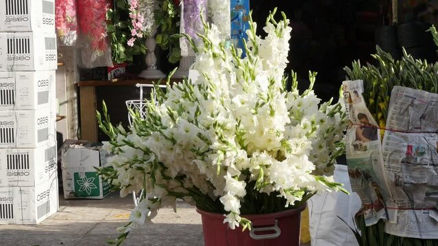 A closeup of a bunch of tuberose or sugandaraja flowers in a bucket