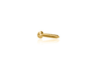 macro screw of golden color on a white background