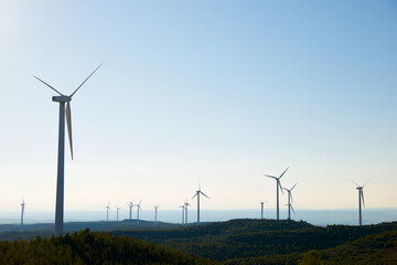 Wind turbine generators for renewable electricity production