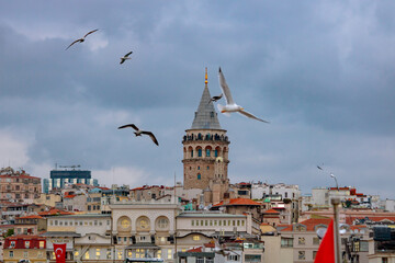Fototapeta premium Istanbul view. Galata Tower and seagulls