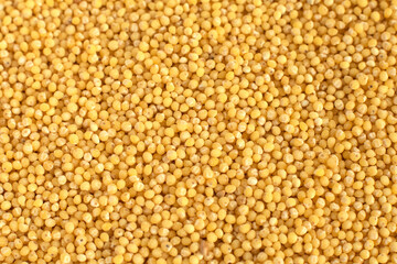 Millet scattered on the surface, macrophotography of porridge