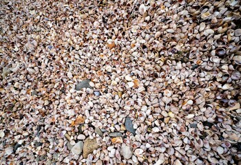 Rhode Island Beach in Winter