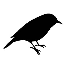 Silhouette of little bird isolated on white background 