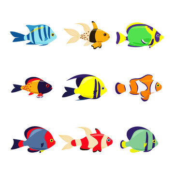 Set of marine exotic fishes on a white background. Collection Aquarium vector fish isolates. Sea fish. Vector illustration.