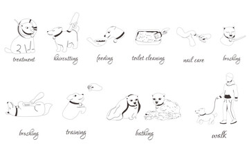 Dog grooming, treatment, bathing, claw care, hair cutting, hair brushing, training, feeding, toilet cleaning, teeth brushing, walking