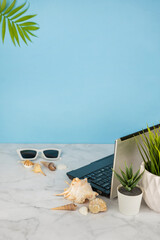 Laptop on a blue background with greenery, shells and sunglasses. The concept of remote work for programmers, designers, freelancers. Sea work and recreation, online education.