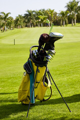 Golf bag and clubs on the edge of the green of a golf course on a sunny summer day.