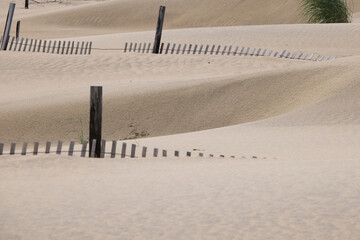 Sand Dunes at Jockey Ridge State Park
