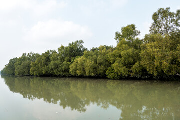 Sundarbans National Park.Sundarbans is a tidal wetland forest delta with an area of about 10,200 square km across India and Bangladesh. this photo was taken from Bangladesh.