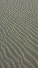 Fototapeta na wymiar Light sand waves background designed by wind.