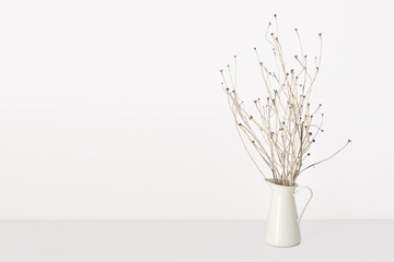 Mock up dry twigs in a vase . White colors. Dry flowers in vase on white background